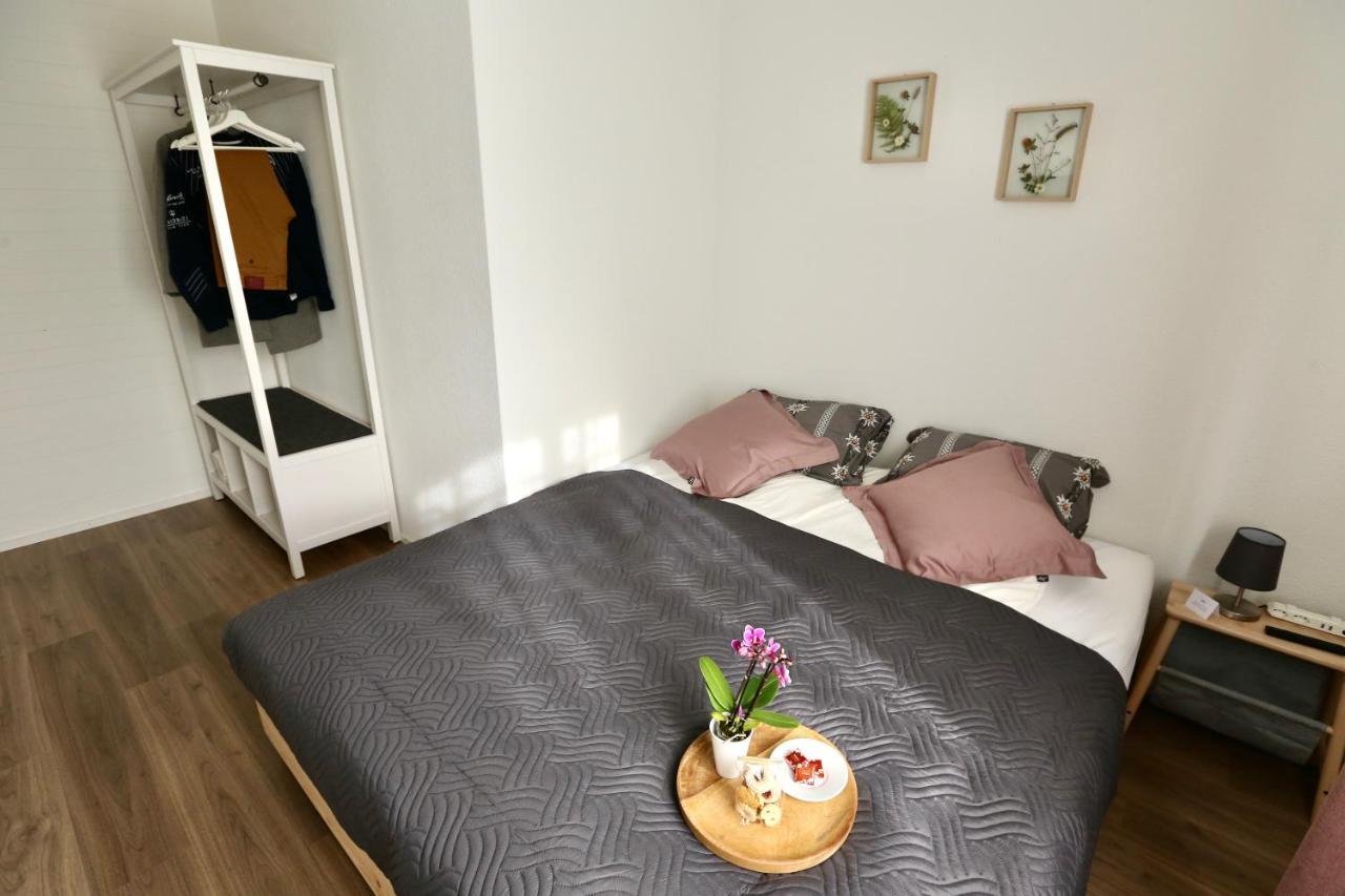 Alp Apartments Centre Location With Traditional Design And Self Check-In 英格堡 外观 照片