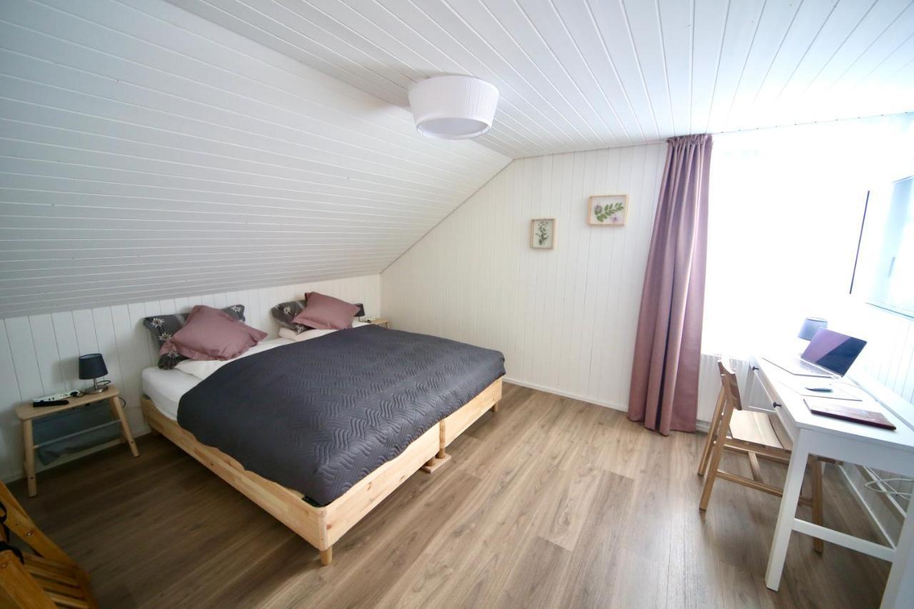 Alp Apartments Centre Location With Traditional Design And Self Check-In 英格堡 外观 照片